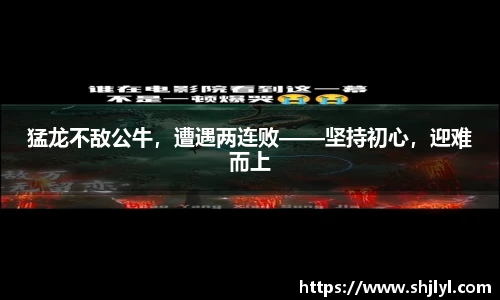 猛龙不敌公牛，遭遇两连败——坚持初心，迎难而上