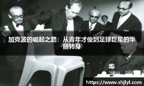 永利集团3044官网欢迎您