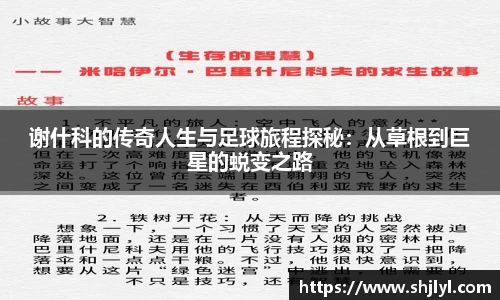 永利集团3044官网欢迎您